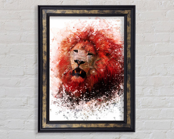 Red Lion Roar Framed Print