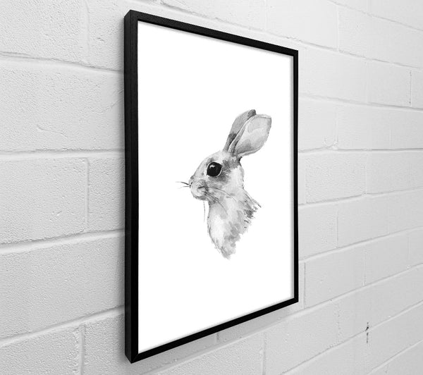 Rabbit Profile