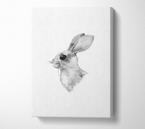  A Canvas Print of Rabbit Profile Canvas Print
