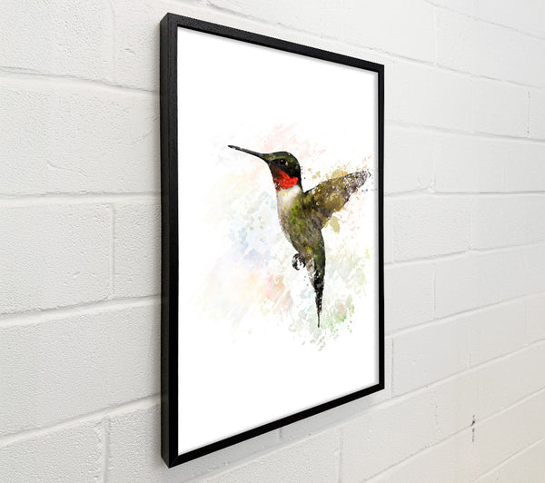 Hummingbird Wings