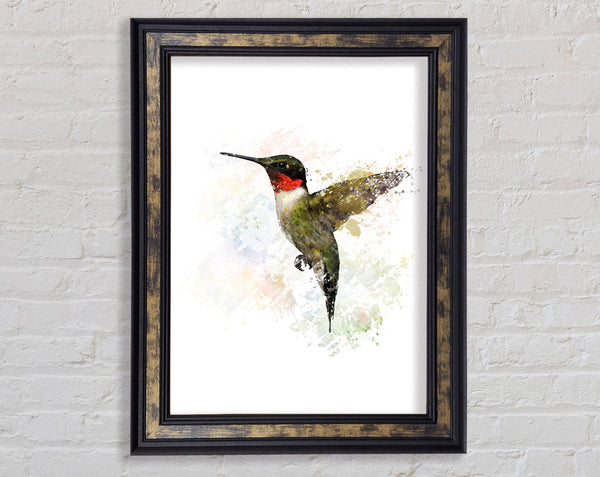 Hummingbird Wings Framed Print