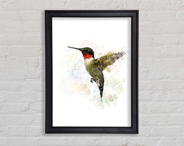 Hummingbird Wings Framed Print