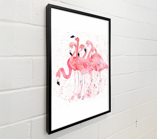 Pink Flamingo Splash