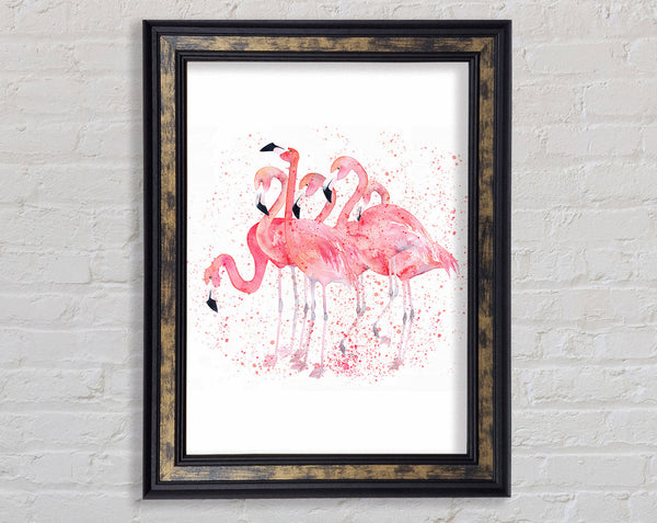 Pink Flamingo Splash Framed Print