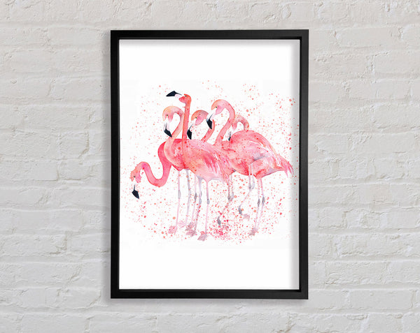 Pink Flamingo Splash Framed Print