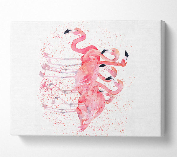  A Canvas Print of Pink Flamingo Splash Canvas Art