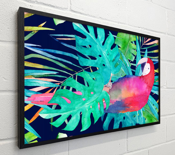 Parrot Jungle
