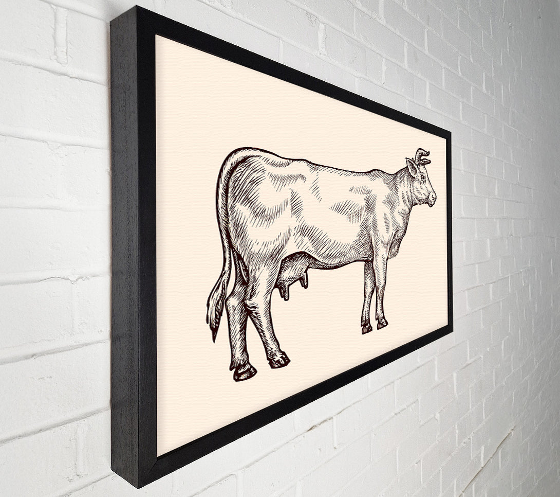  A Canvas Print of Hereford Cow Canvas Art