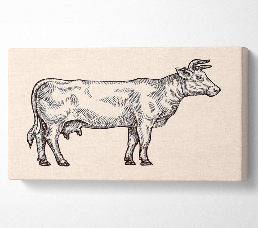  A Canvas Print of Hereford Cow Canvas Art