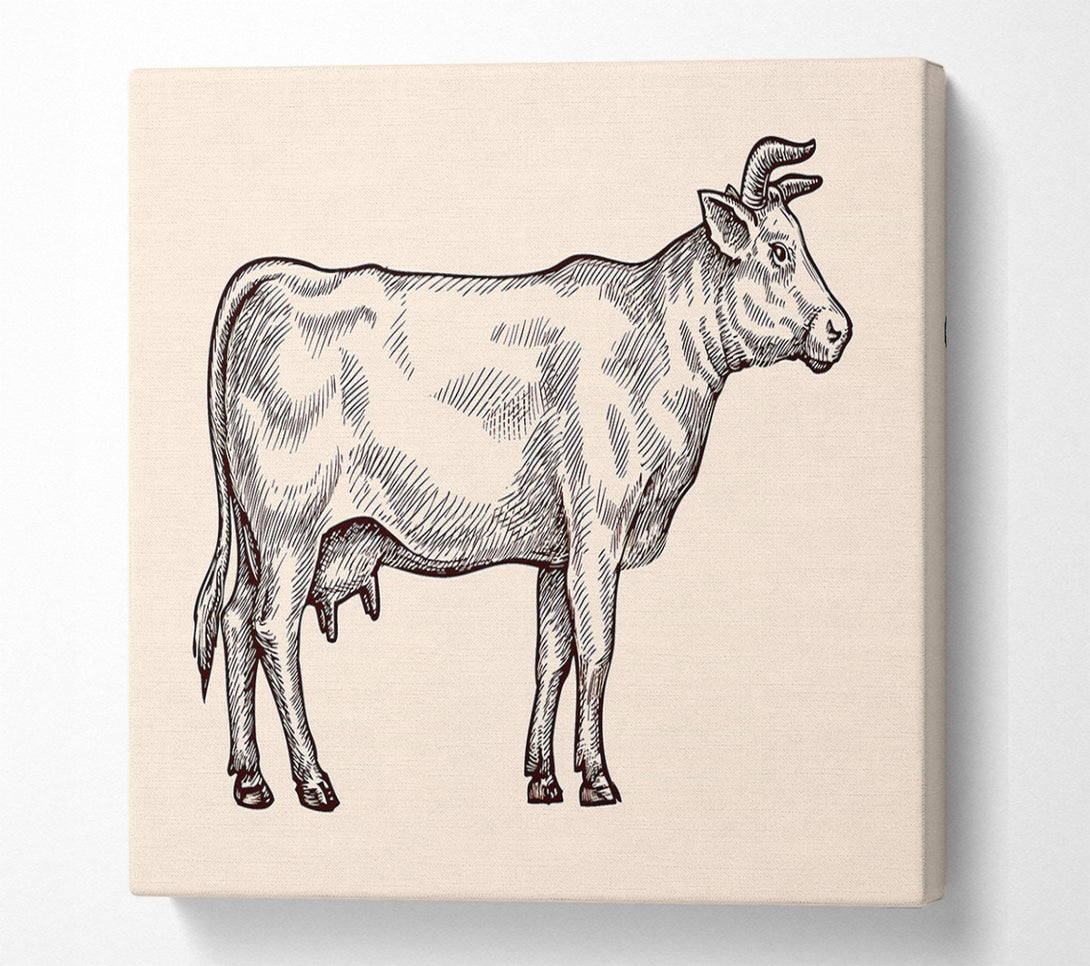  A Canvas Print of Hereford Cow Canvas Art