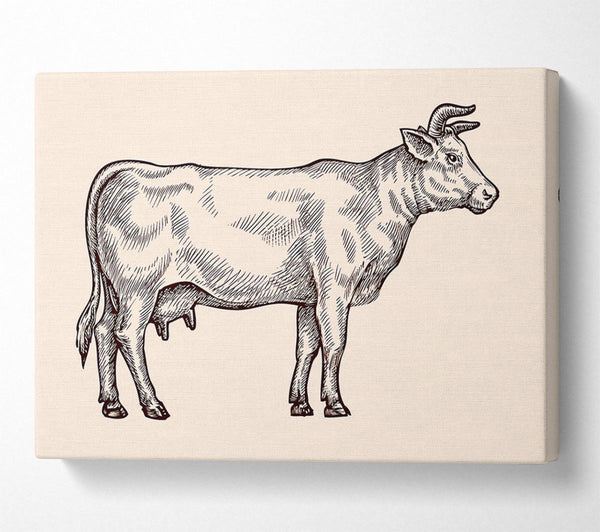  A Canvas Print of Hereford Cow Canvas Art