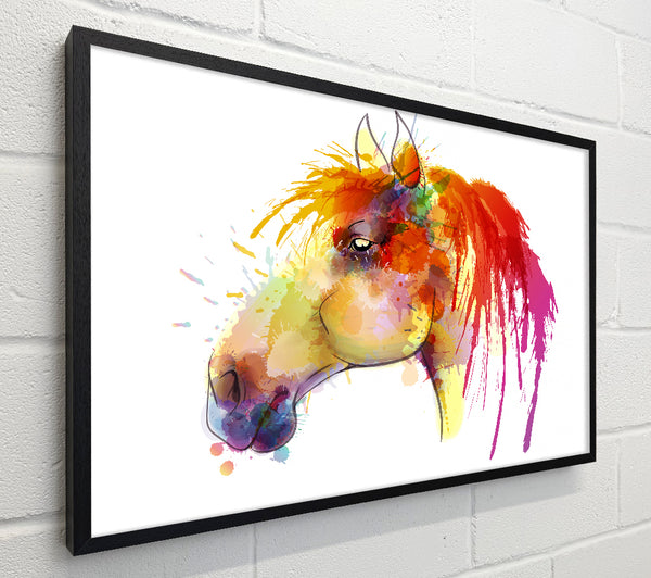 Beautiful Rainbow Horse
