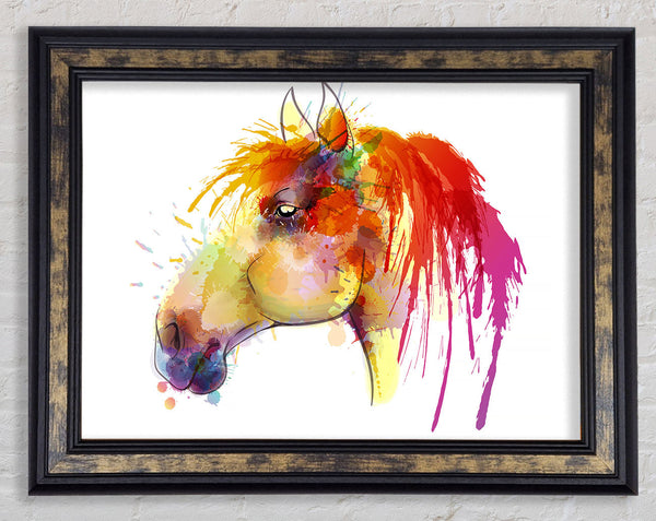 Beautiful Rainbow Horse Framed Print
