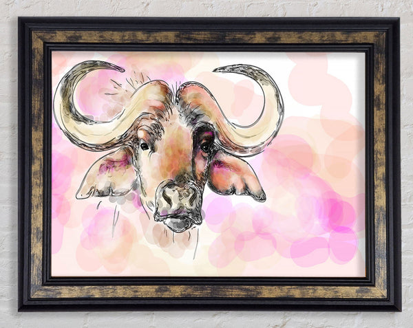Texas Longhorn Cow