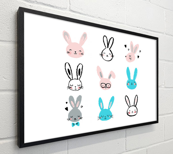 Rabbit Faces
