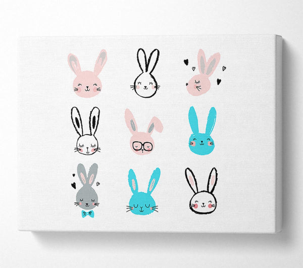  A Canvas Print of Rabbit Faces Canvas Print