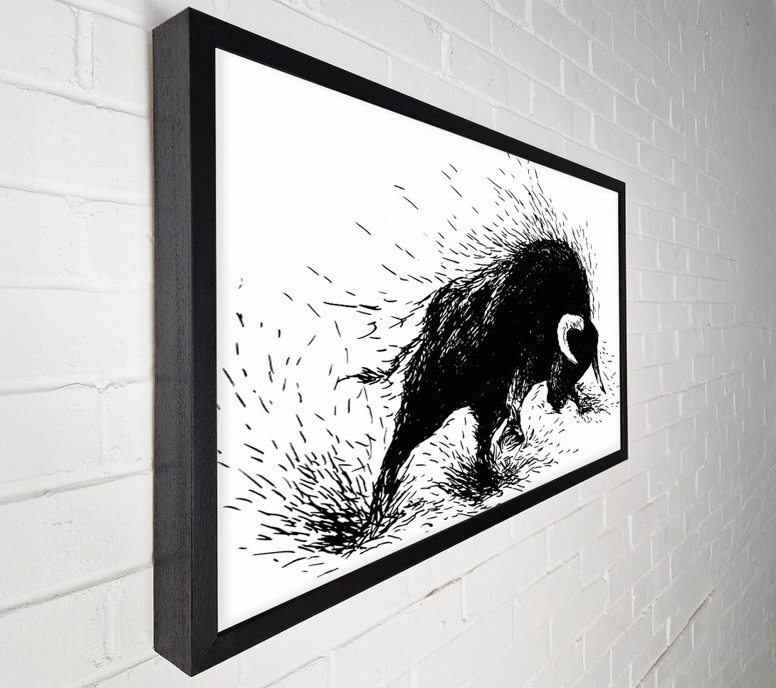  A Canvas Print of Bull Attack Canvas Print