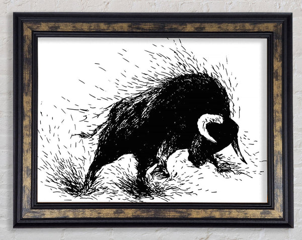 Bull Attack Framed Print