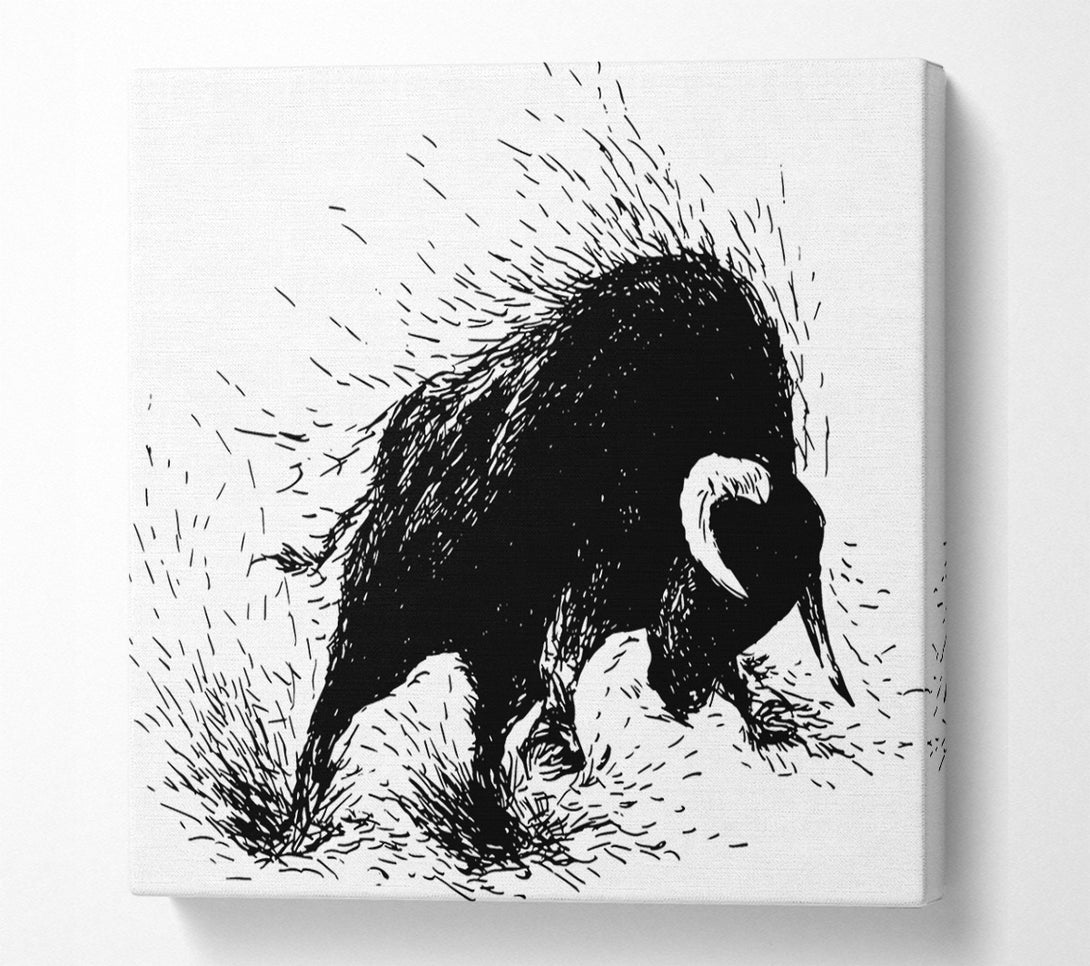  A Canvas Print of Bull Attack Canvas Print