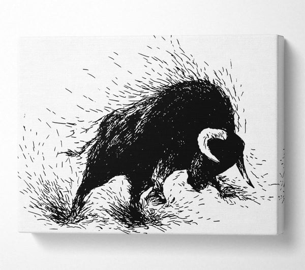  A Canvas Print of Bull Attack Canvas Print