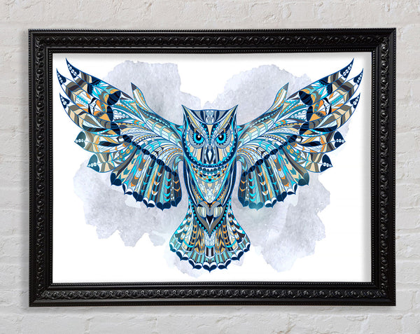 Indian Owl Framed Print