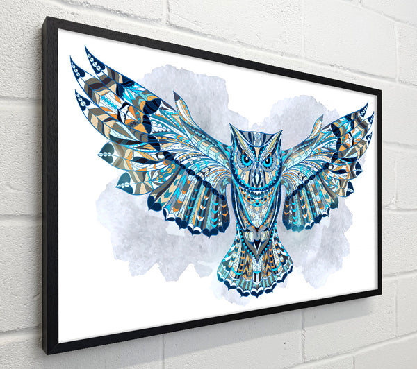 Indian Owl