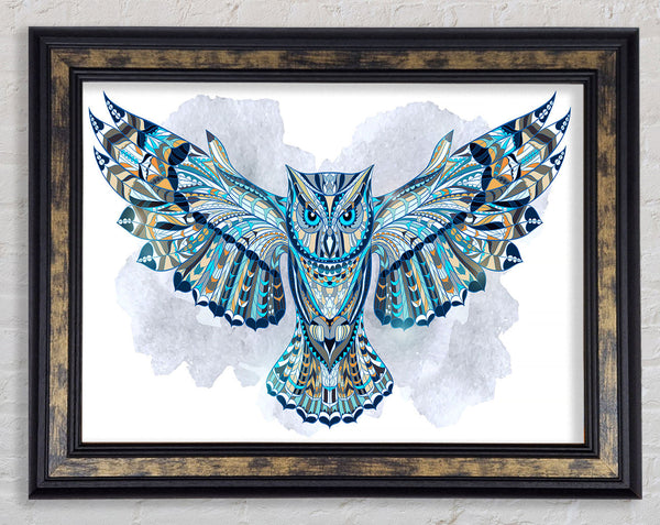 Indian Owl Framed Print
