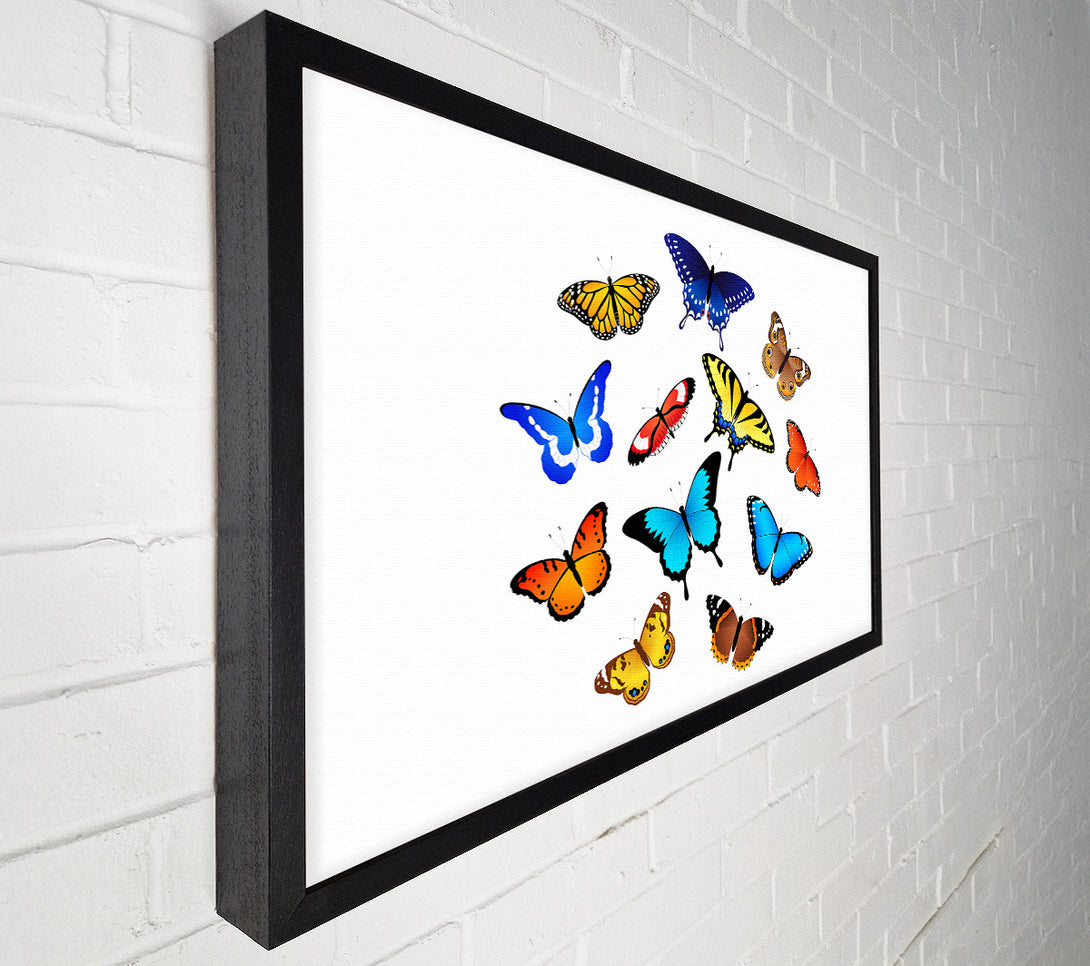  A Canvas Print of Colourful Butterflies Canvas Print