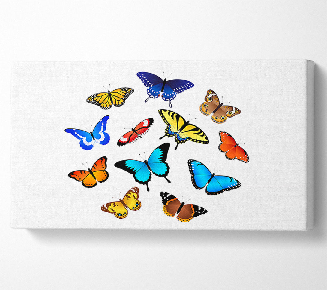  A Canvas Print of Colourful Butterflies Canvas Print