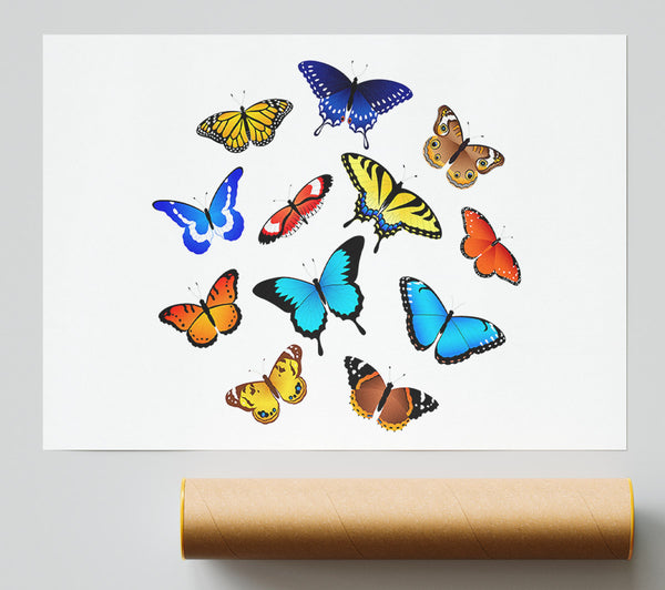 Colourful Butterflies Print