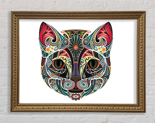 Indian Cat