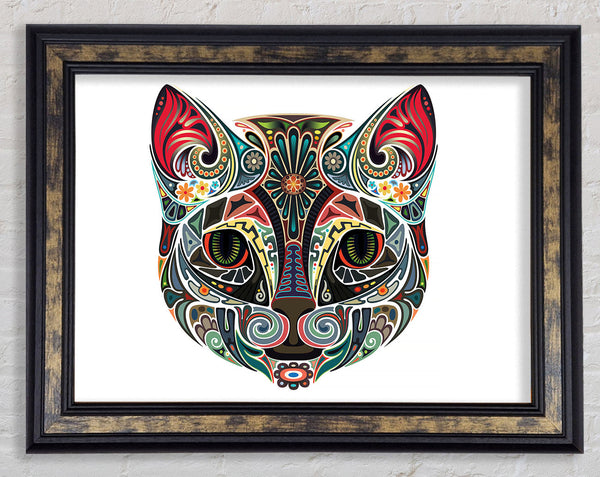 Indian Cat
