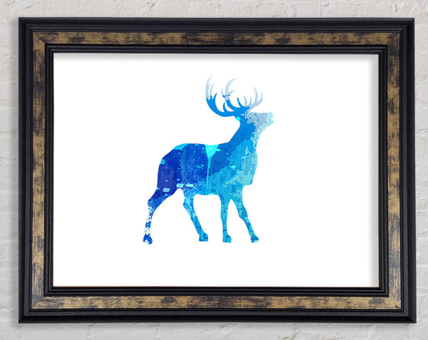 Blue Stag Calling Framed Print