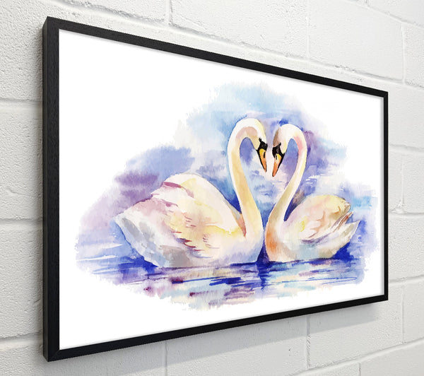 Swan Love