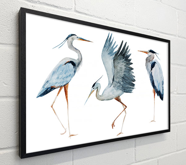 Heron Trio