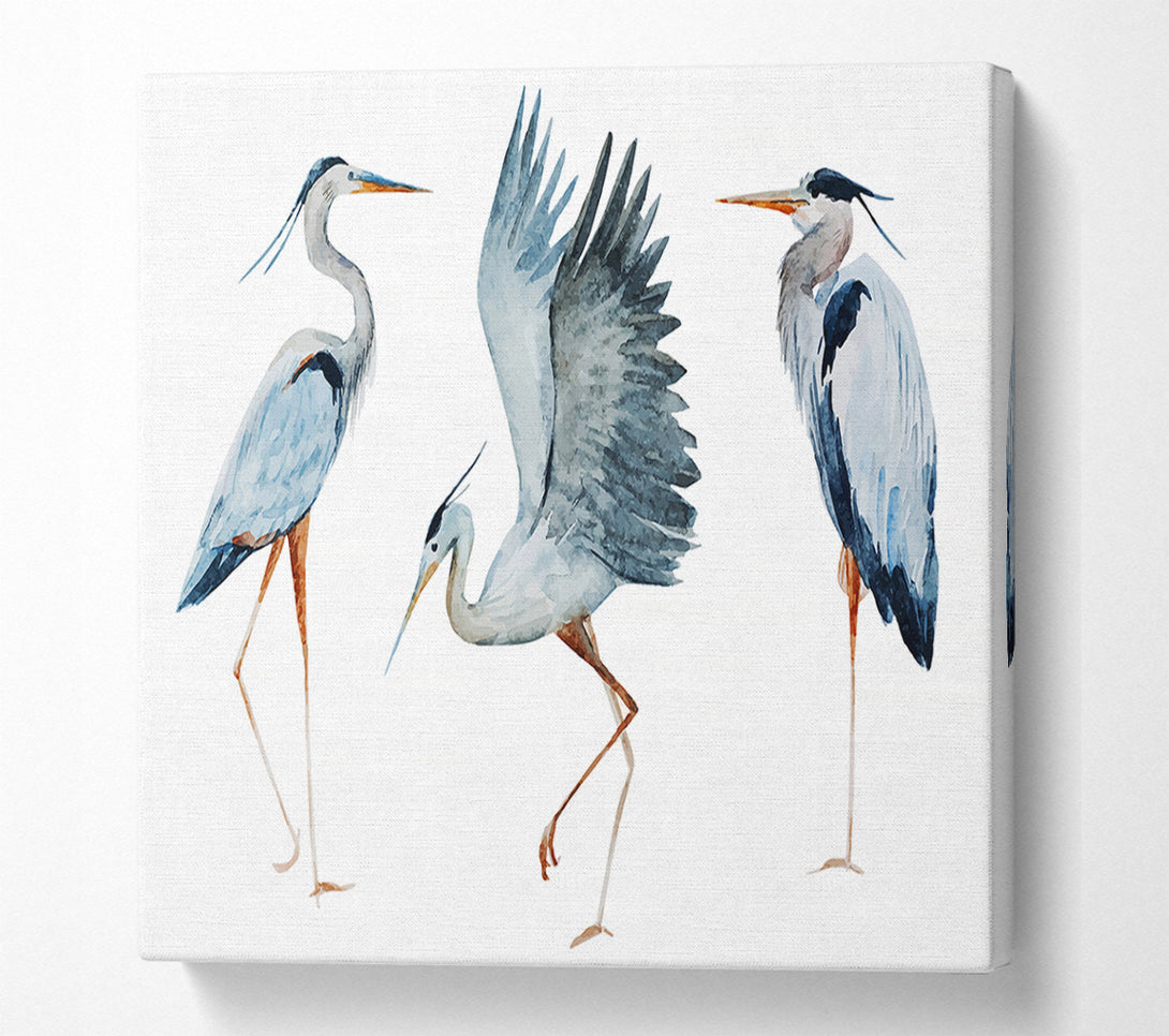  A Canvas Print of Heron Trio Canvas Print