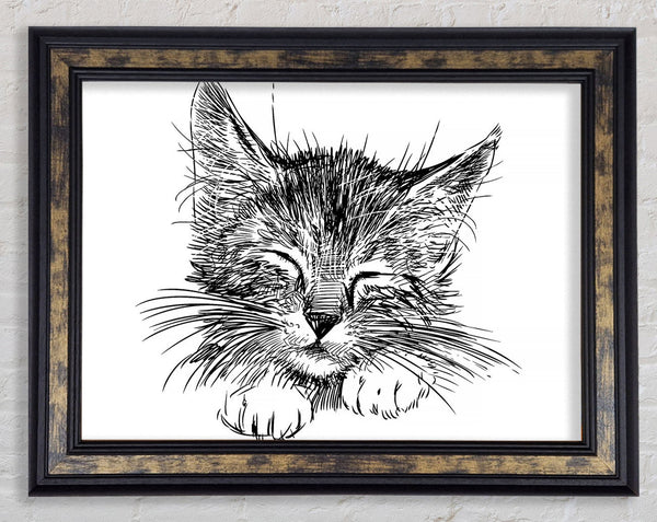Cute Kitten Face Framed Print