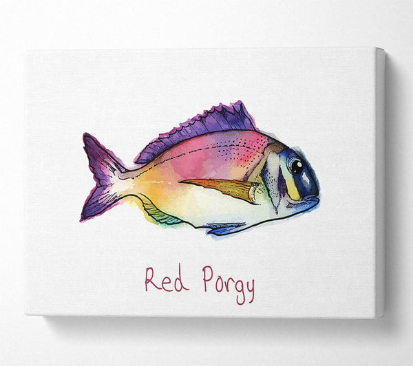 Red Porgy Rainbow Canvas Wall Art