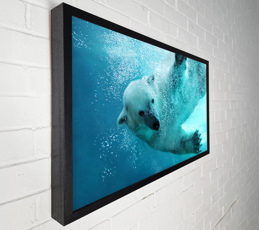  A Canvas Print of Polar Bear Swim Canvas Wall Art