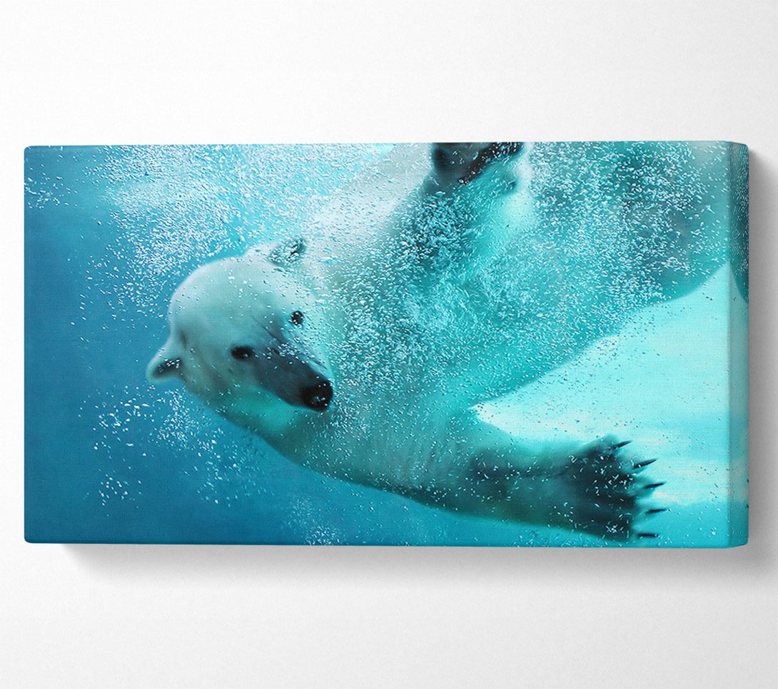  A Canvas Print of Polar Bear Swim Canvas Wall Art