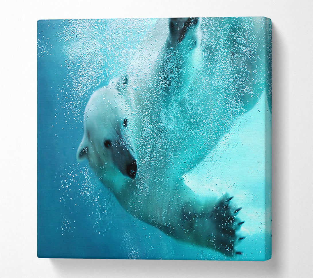  A Canvas Print of Polar Bear Swim Canvas Wall Art
