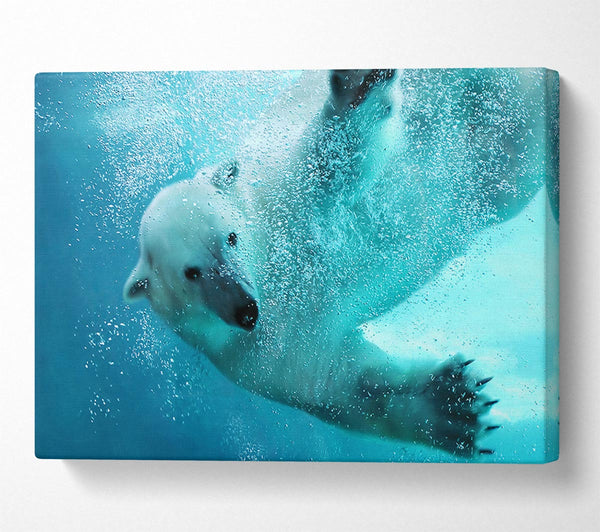  A Canvas Print of Polar Bear Swim Canvas Wall Art