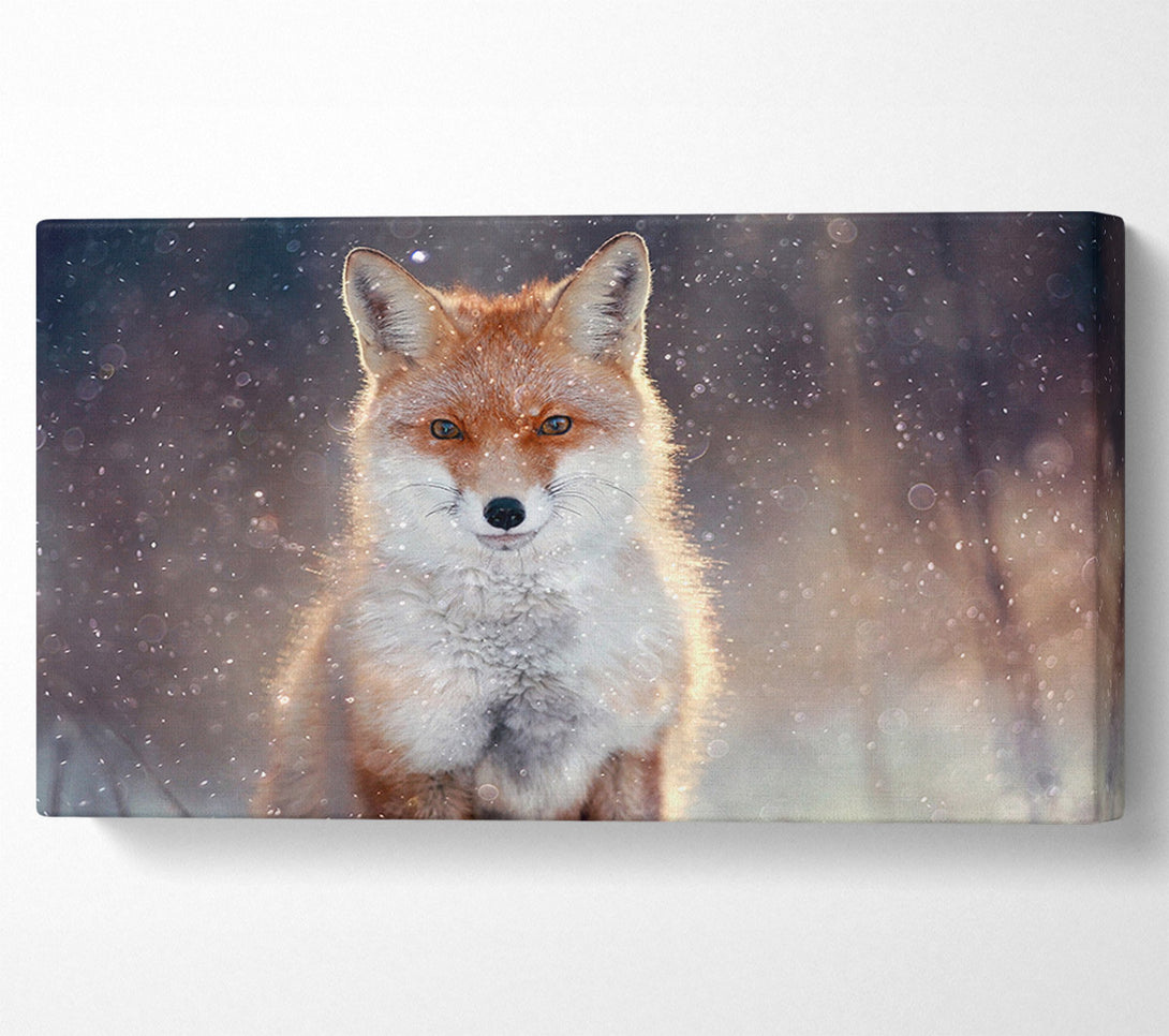  A Canvas Print of Fox In Winter Canvas Print