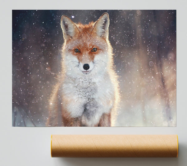 Fox In Winter Giclee Print