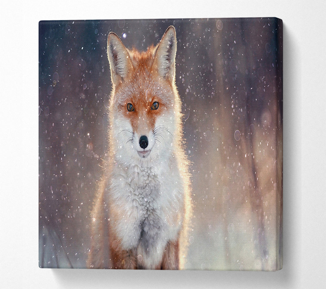  A Canvas Print of Fox In Winter Canvas Print