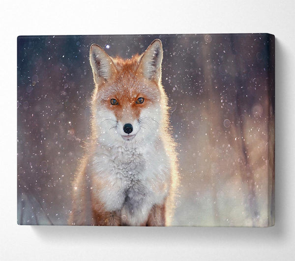  A Canvas Print of Fox In Winter Canvas Print