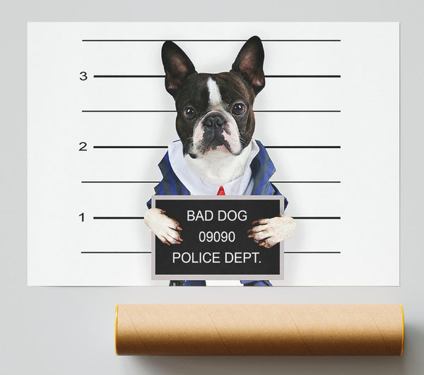 Naughty French Bulldog Print