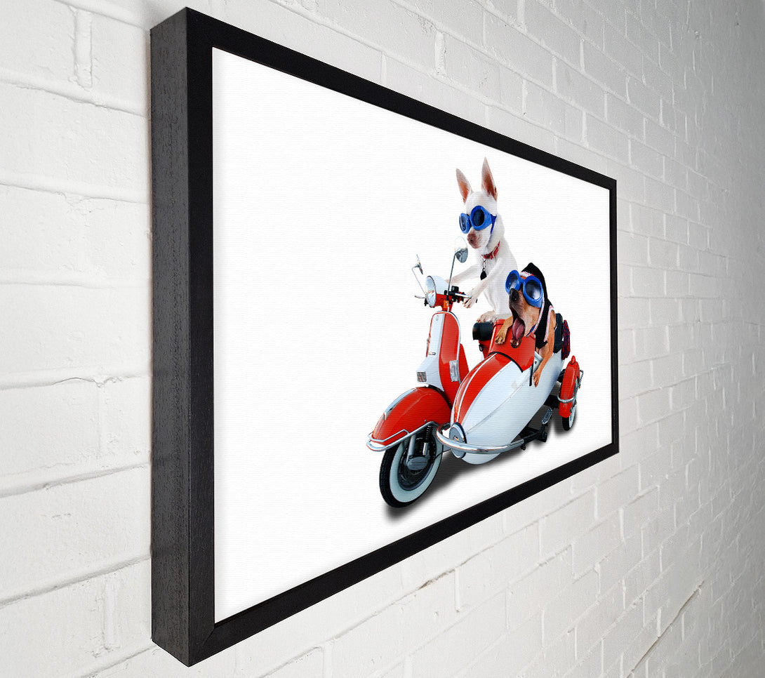  A Canvas Print of Chihuahua Sidecar Mayhem Dogs Canvas Wall Art
