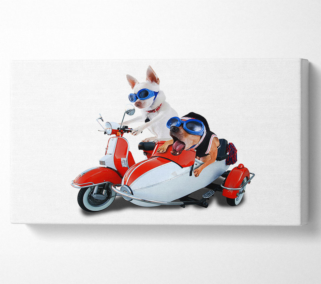  A Canvas Print of Chihuahua Sidecar Mayhem Dogs Canvas Wall Art