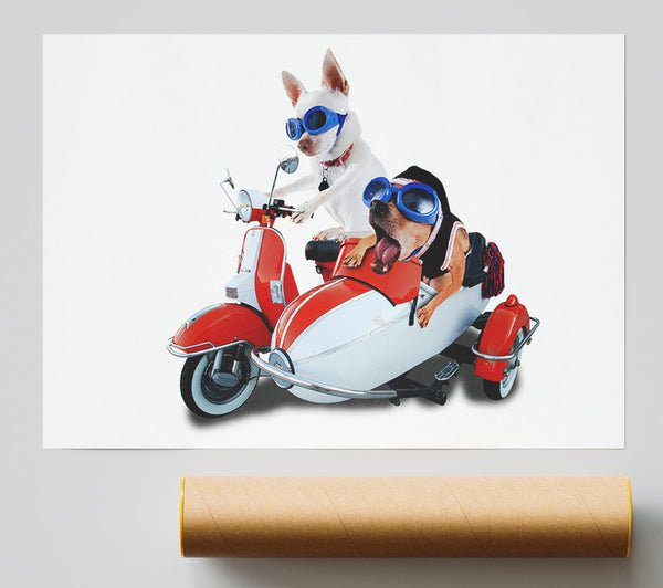 Chihuahua Sidecar Mayhem Dogs Giclee Print